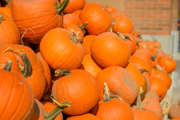 many yellow pumpkins for sale, background for halloween