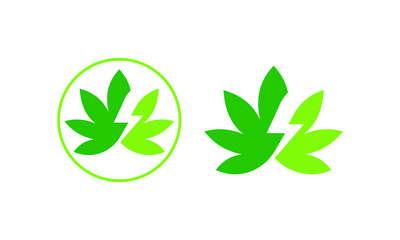 cannabis or marijuana leaf logo icon with lightning bolt illustration, Marijuana leaf logo design template, Cannabis Leaf Logo Design 