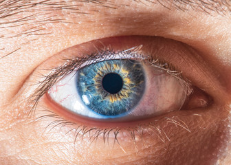 Beautiful close up human eye. Macro photography.