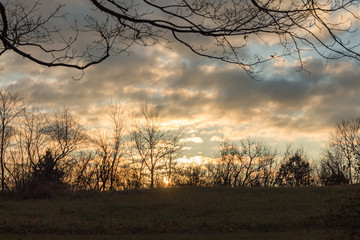 Obraz premium Leafless branches at sunrise against a cloud filled sky