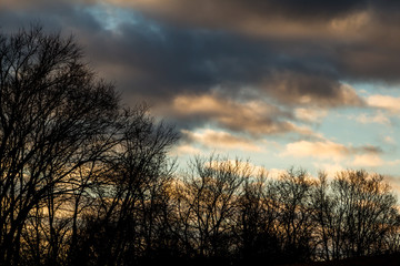 Fototapeta na wymiar Trees silhouetted against a cloud filled sky