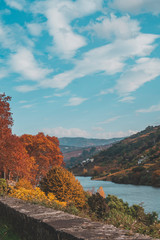 Douro river view with mountains and orange autumn trees on hillside