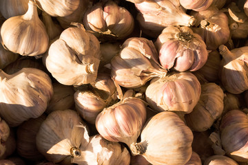 The heads of garlic lie on the window of a market, store, supermarket