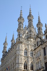 Fototapeta na wymiar Leuven city hall, Belgium