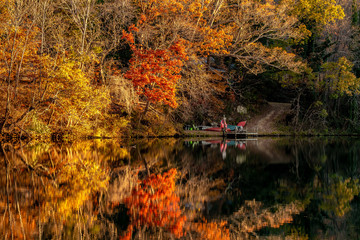 Reflection of tree in fall season