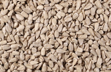 Sunflower seeds background and texture
