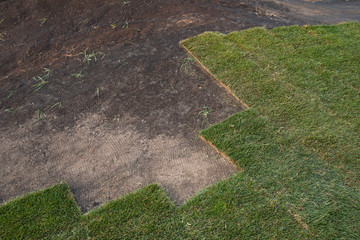 Installing grass turf rolls for new garden lawn