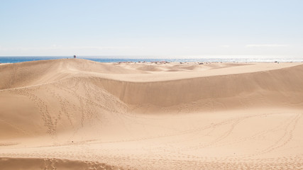 Dune de maspalomas