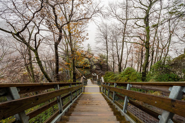 Fototapeta na wymiar Stairway on Chimney Rock State Park , North Carolina ,USA