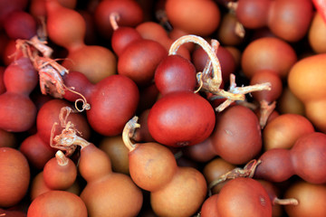 brown gourd is stacked together
