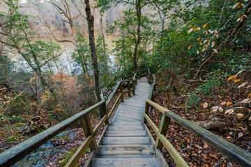 Trail path with wooden handrail in Raven Rock State Park, North Carolina, United States.