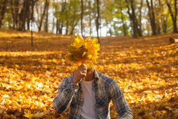 Man hiding his face behind yellow maple leaves. Autumn sunny park.
