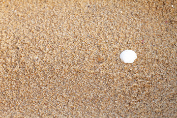 Fototapeta na wymiar Textured wet sand beach background