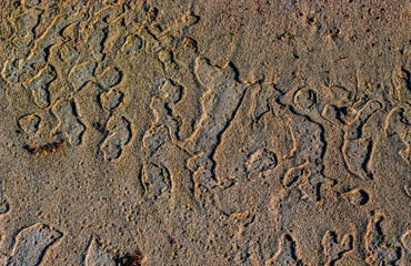 After the bubbles burst