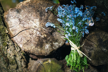Fototapeta premium Beautiful bouquet of field forget-me-nots on logs with copy space, top view