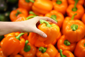Female hand choosing pepper in the store. Concept of healthy food, bio, vegetarian, diet.