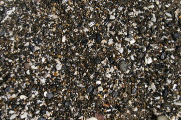 Sand in Progress 