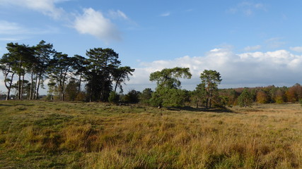 Herbstlandschaft rund um den Schlangenberg 