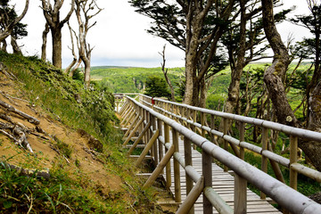Fototapeta premium Landscape Punta Arenas, Patagonia Chile. Feb 2019.