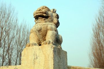 Fototapeta na wymiar Ancient Chinese stone lion sculpture