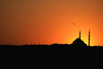 Istanbul City Silhouette Mosque at Afternoon