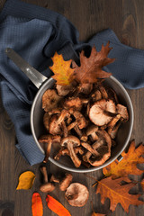 Forest edible mushrooms on a brown wooden surface. Near the leaves. Autumn still life