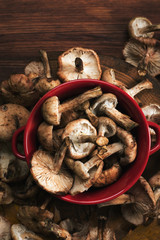 Edible forest mushrooms in a red pan on a brown wooden surface. Near the leaves. Autumn still life