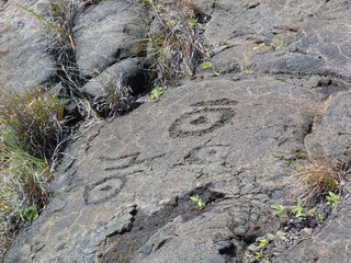 petroglyphe
