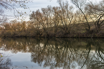 Obraz premium A small river in the southeast of the Moscow region. Autumn landscape