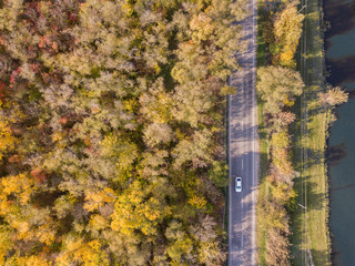 Aerial drone top down shot of car on the road among the trees.