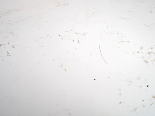 Dirty white surface with cat hair, muddy prints and cat food