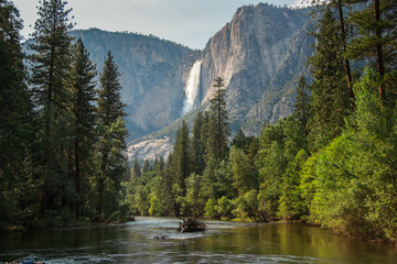 View of Yosemite Falls from the bridge above Merced River in Yosemite Valley National Park, California, USA. Near Landmarks: Half Dome, Glacier Point, El Capitan.