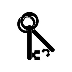 key icon trendy flat design