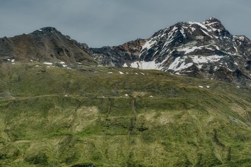 two peaks and a green slope covered with green mosses and lichen, alpine view in early summer after the snow has melted