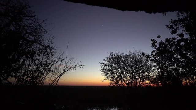 Bats at night recorded with sound and high sensitive night camera