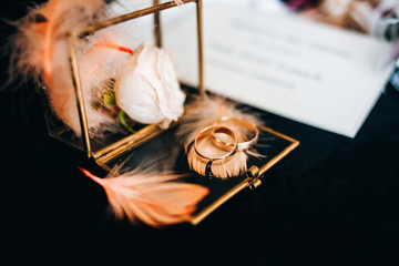 Wedding rings in a glass box. Wedding accessories. Marriage concept.
