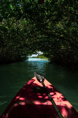 red kayak in dark mangroves