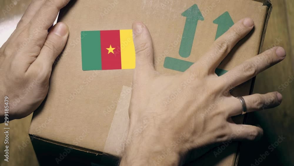 Poster labeling carton with the cameroonian flag sticker. import or export in cameroon related clip