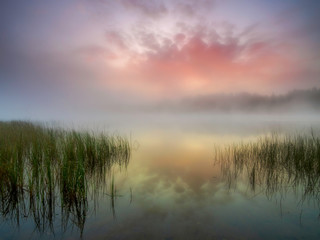 Fototapeta na wymiar Sunrise over a misty lake. Summer landscape. Wild nature