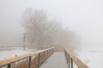 Naklejka na ściany i meble Park wood bridge in fog and haze