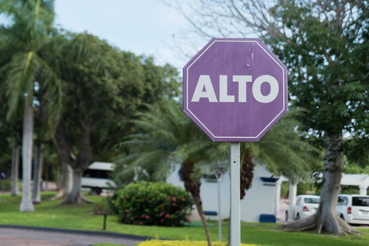 Purple Alto (Stop) Sign
