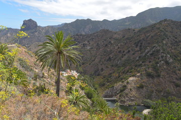 Fototapeta na wymiar Landschaft auf der Insel La Gomera / Kanaren