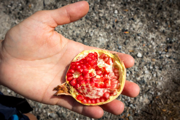 Frisch geernteter Granatapfel mit Kernen auf einer Hand - 299187874