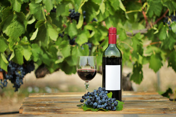 Still life of a red wine bottle, glass and grape strain