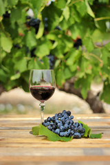glass of red wine with grape cluster on an old wooden table