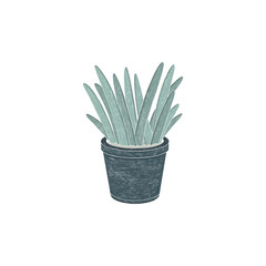 Cute houseplant. Hand drawn image for creative design of posters, cards, invitations, prints, websites, etc.