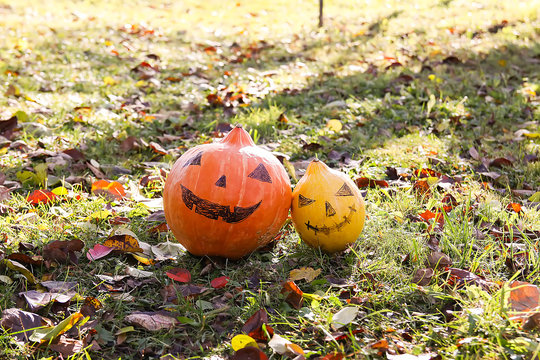 Funny Halloween pumpkin with scary face in fall foliage.