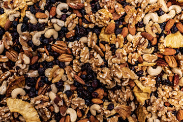 Mix of dried fruits, nuts and berries