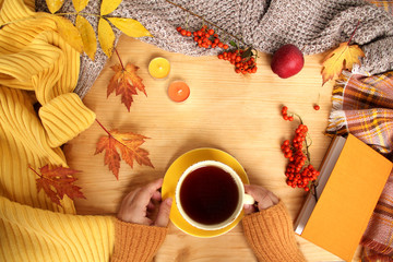Fototapeta premium female hands holding a cup of hot tea or coffee, autumn flat in the Scandinavian hugg style, with yellow leaves, cozy knitwear, candles and berries, a blank for the designer, template , mock up