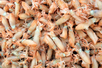 Dried cuttlefish in a market